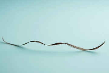 Poster - Close up view of a broken hair strand on a light blue surface illustrating hair damage and fragility. Generative AI