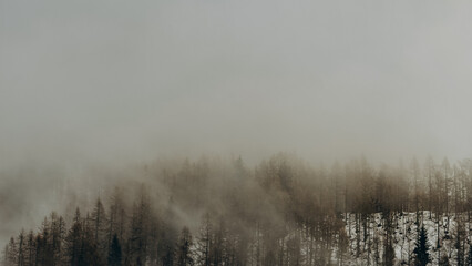 Naklejka na meble Winter Landscape With Fog Rolling Over A Snow Covered Forest Of Pine Trees Creating An Ethereal And Moody Atmosphere. French Alps, Col de Balme