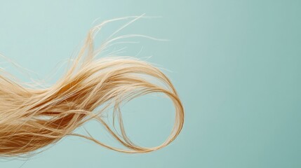 Poster - Close up of a broken strand of hair revealing delicate texture and color on a soft background. Generative AI