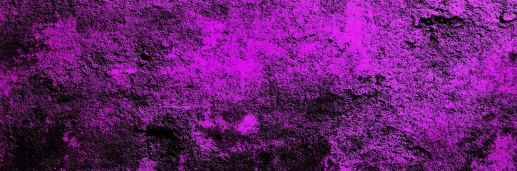 Wall Mural - Black fuchsia purple abstract background. Toned rough concrete wall surface. Background with space for design. Web banner. Wide.