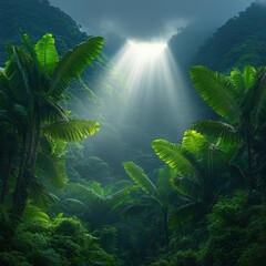 Canvas Print - Enchanting Sunlight Streams Through Lush Tropical Rainforest with Vibrant Greenery and Majestic Palm Trees in Tranquil Nature Environment Perfect for Exploration