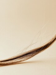 Poster - Macro shot highlighting a broken strand of hair on a neutral background in a well lit setting. Generative AI