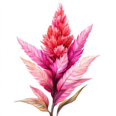 Wall Mural - Watercolor botanical illustration with pink flower shows its delicacy