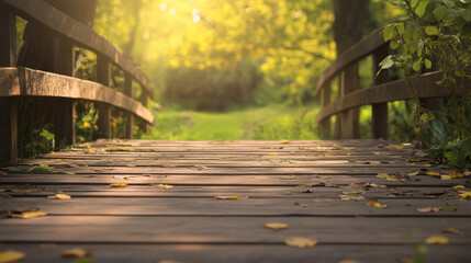 Wall Mural - wooden bridge in sunlit forest with fallen leaves