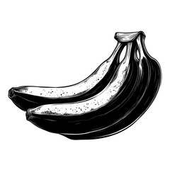 Poster - Simple bananas linear illustration fruit black vector