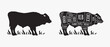 © DOMHOUZE - Cow silhouette and cut of beef vector on white background