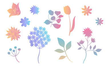 Wall Mural - gradient color leaf and flower element object