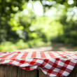© Gustav - Rustic wooden table adorned with a vibrant red checkered tablecloth, set against a backdrop of a verdant forest bathed in soft, filtered light