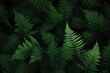 © Rawpixel.com - Leafy fern plant.
