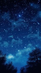 Wall Mural - night sky outdoors nature constellation.