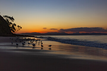 Wall Mural - sunset on the beach