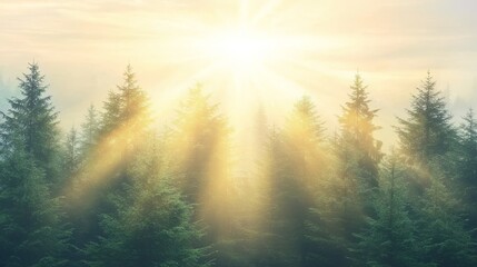 Wall Mural - Sundappled forest, serene nature scene with sunlight streaming through trees 