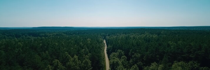 Poster - Road stretches into a serene forest with ample greenery and blue sky on a clear day inviting adventure and exploration. Generative AI