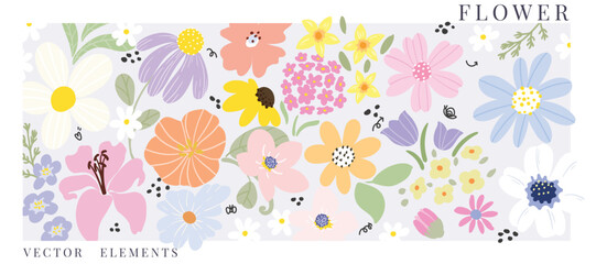 Wall Mural - set of small flower spring and summer. botanical illustration minimal style.
