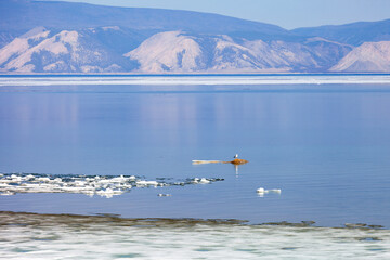 Wall Mural - Baikal Lake in May. View from shore of Olkhon Island to ice drift on Small Sea on spring day. White ice floes on sandy beach. Birds have returned from their southern wintering. Spring travel, outdoors