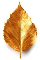 Golden autumn leaf isolated on white