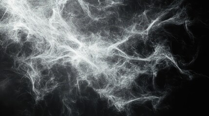 Intricate white spiderweb texture on black. Ideal for Halloween, spooky, or mystical designs.