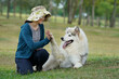 © LeeSensei - An Alaskan Malamute joyfully gives a high-five to a smiling woman in a green hat at a park, highlighting companionship, obedience training, and outdoor happiness