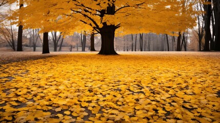 Wall Mural - deciduous leaves tree