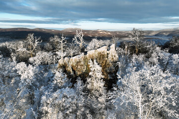 Wall Mural - Winter landscape with forest and snow