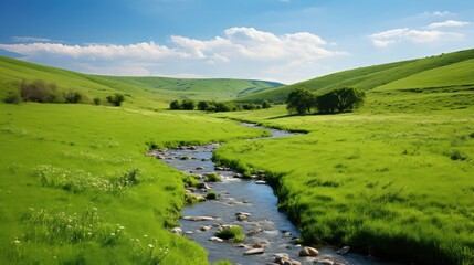 Wall Mural - meadow green scenery