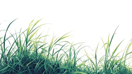 Green vector art on a white background, featuring grasses
