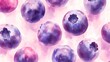 © Nikita44 - Artistic blueberry illustration for food projects, fresh and natural look, ideal for branding, recipes, and culinary designs, book illustration style.
