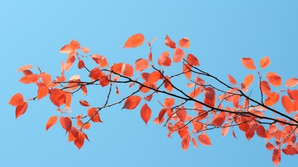 Canvas Print - branch autumn leaf pattern