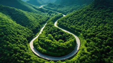 Poster - winding roads aerial view