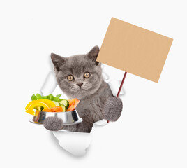 Poster - Cute kitten holds bowl of vegetables  and looks through the hole in white paper and shows blank placard