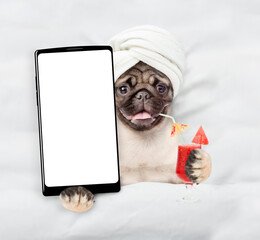 Leinwandbilder - Happy Pug puppy with towel on it head relaxing on the bed at home and showing big smartphone with white screen in it paw. Top down view. Empty space for text