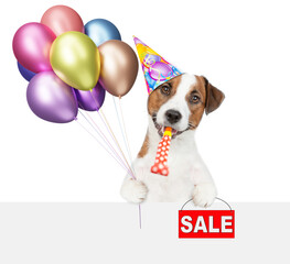 Aufkleber - Funny jack russell terrier puppy wearing party cap holding balloons, blowing in party horn and looking above blank white banner and showing signboard with labeled 