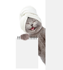 Fototapete - Happy cat with towel on it head looks behind blank white banner and shows blank notebook. Empty space for text. Isolated on white background