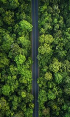 Aufkleber - Straight road leads into lush green forest inviting exploration in tranquil surroundings. Generative AI