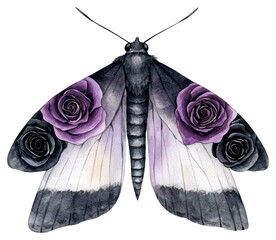 Wall Mural - PNG Moth with purple and black roses illustration watercolor butterfly.