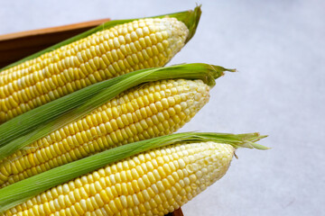 Wall Mural - Sweet corn, Fresh yellow corn