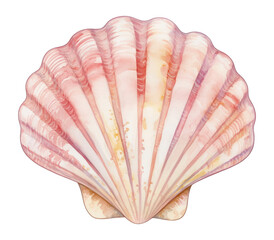 Wall Mural - PNG Seashell seashell watercolor art.