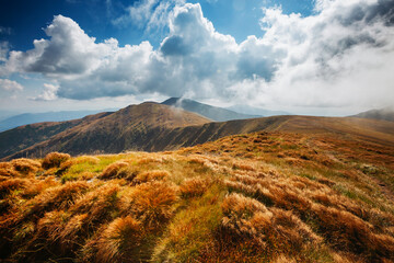 Poster - Bright cumulus clouds over a majestic mountain massif in sunny weather. Carpathians, Ukraine, Europe.