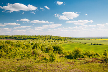 Wall Mural - Fantastic countryside with cultivated fields on a sunny weather.