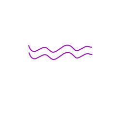 Poster - purple wave line