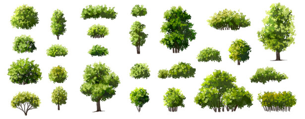 Wall Mural - vector watercolor green tree or forest side view isolated on white background for landscape and arch