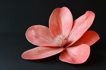 Canvas Print - Delicate pink magnolia flower on a dark background, representing beauty, nature, and tranquility, perfect for wellness and botanical themes