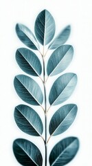 Canvas Print - Teal and Blue Leaves on White Background