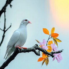 Canvas Print - White Dove Perched on Branch with Pink and Orange Blossoms