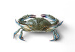 © Ukilats - Fresh Blue Crab Isolated on Black Background Ready for Cooking