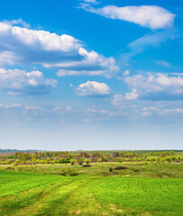 Wall Mural - large field with a few trees and a building in the distance