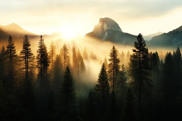 Wall Mural - Sunrise over a misty forest with distant mountains in a serene landscape