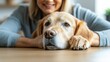 © Worldwide - Close-Up of a Relaxed Golden Retriever with a Smiling Owner Nearby