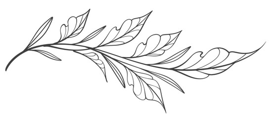 Line art vector illustration of a branch with leaves