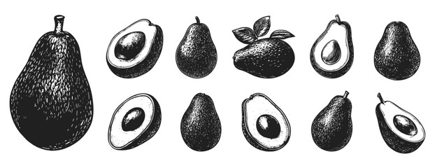 Wall Mural - Avocado Whole and Cut Icons Set Black and White Linocut Print Style Fresh Avocado Sliced Avocado Fruit Botanical Illustrations Healthy Food Natural Products Organic Vegan
